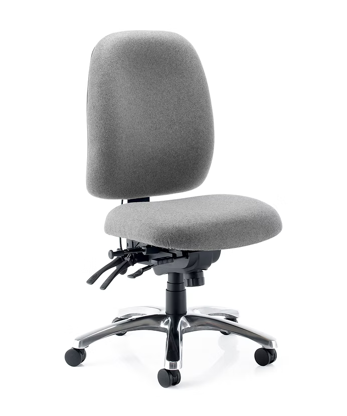 Posture Plus Task Chair