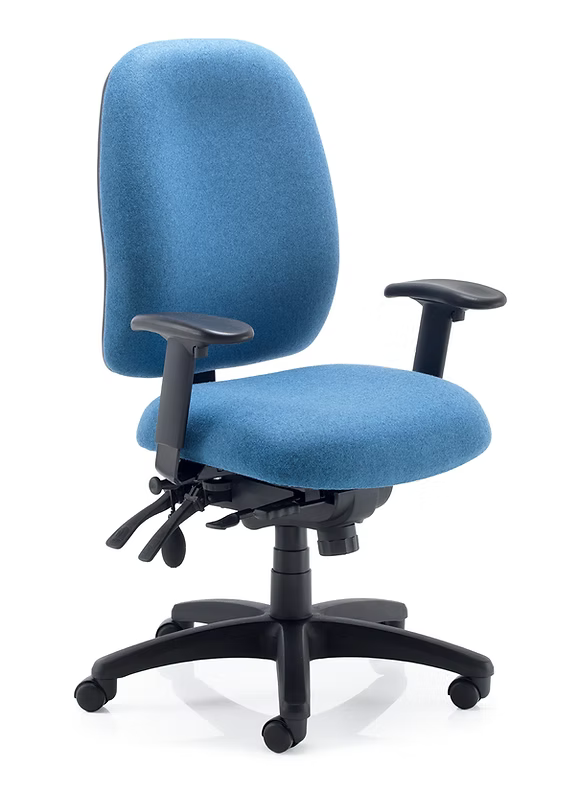 Posture Plus Task Chair