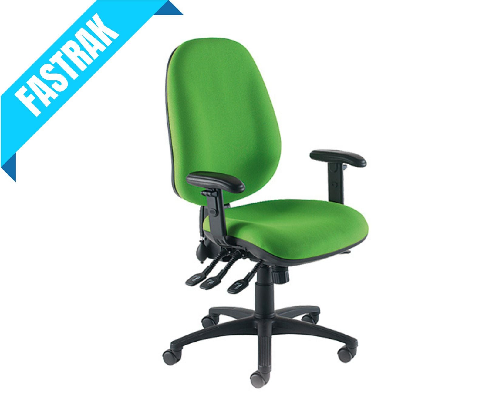Eco Posture Traditional Soft Seating Task Chair