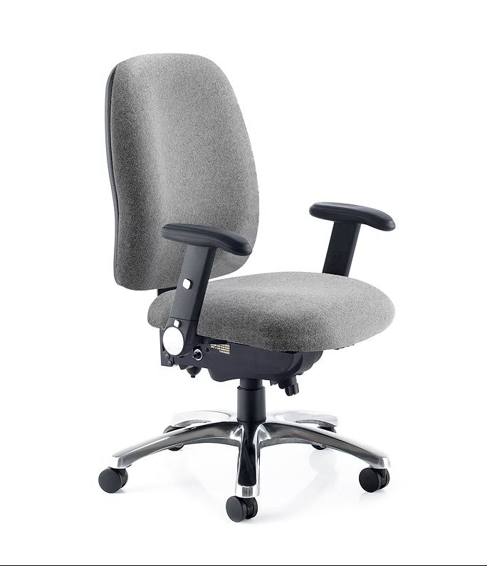 Posture Plus Task Chair