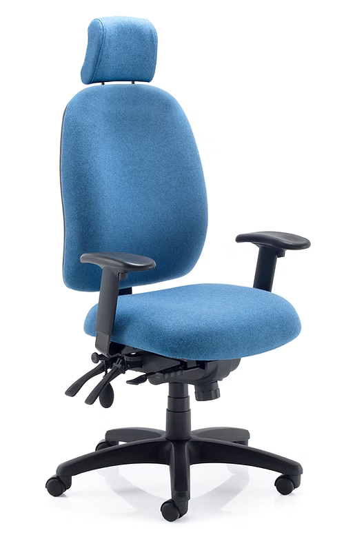 Posture Plus Task Chair