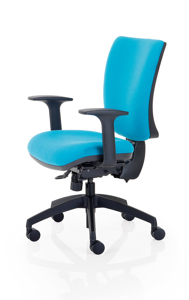 Icon Plus (IP37) High Back Task Chair