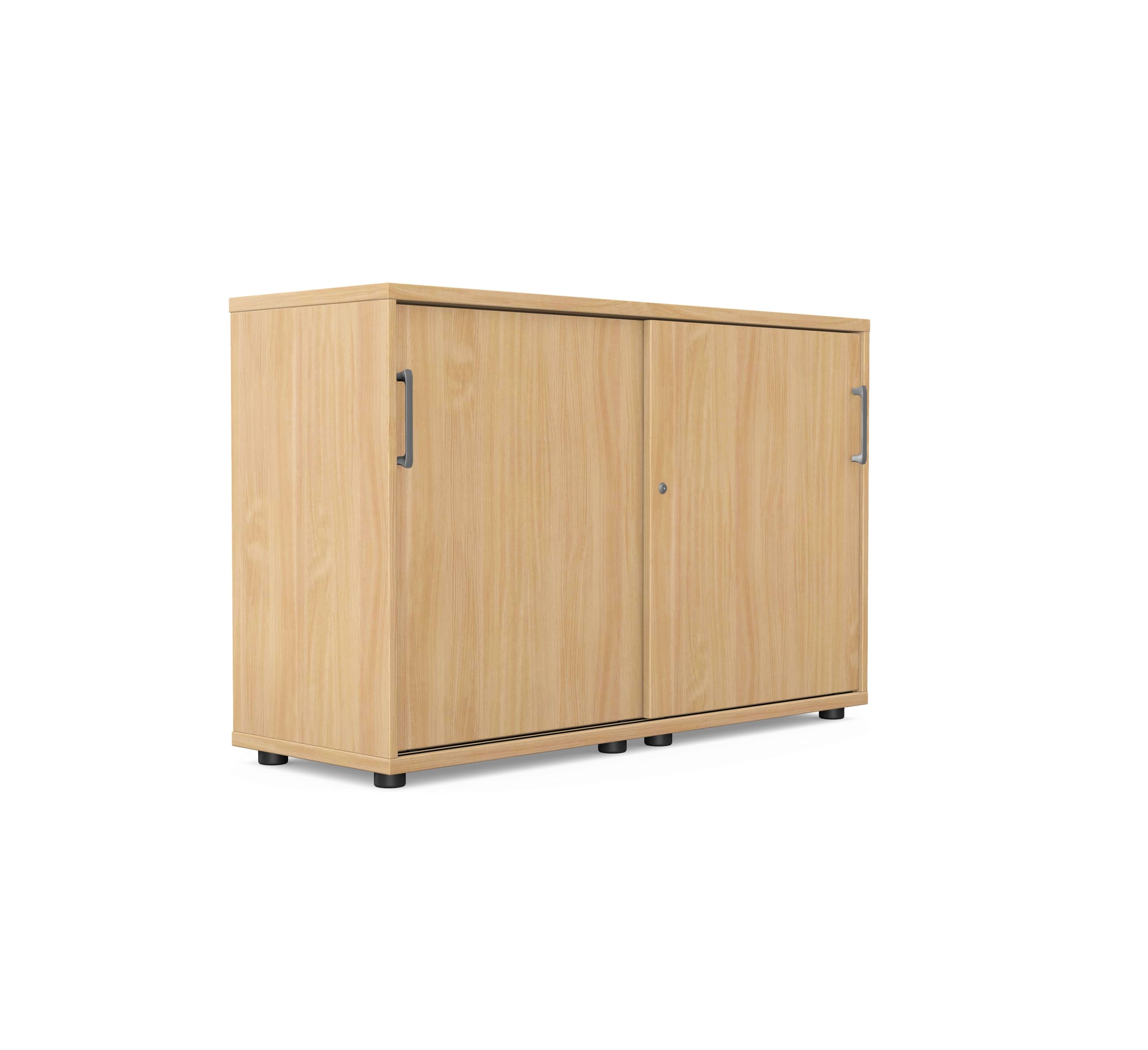 Profi Cabinet RS-6
